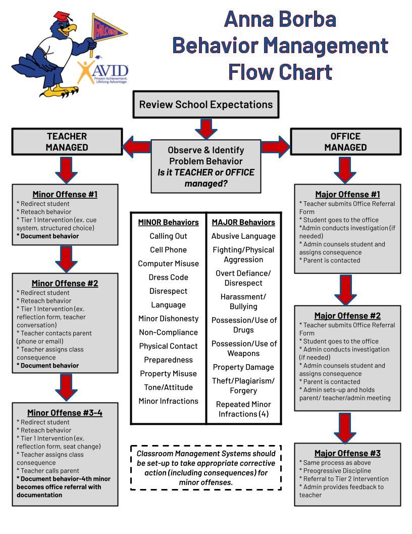 Anna Borba Behavior Flow Chart & Definitions